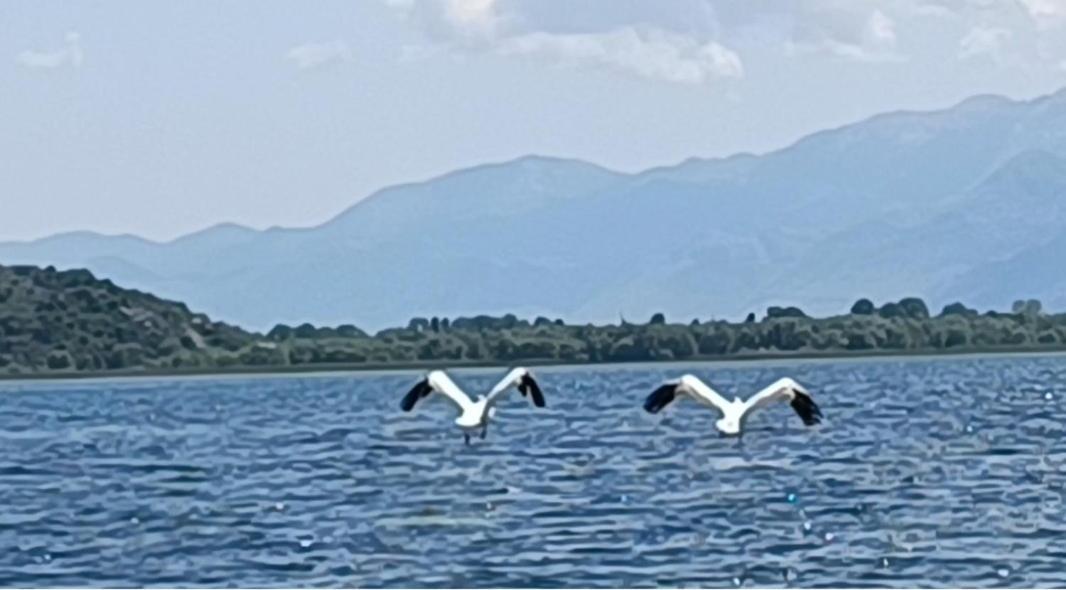 Haustor Skadar Lake Podgorica Exterior foto