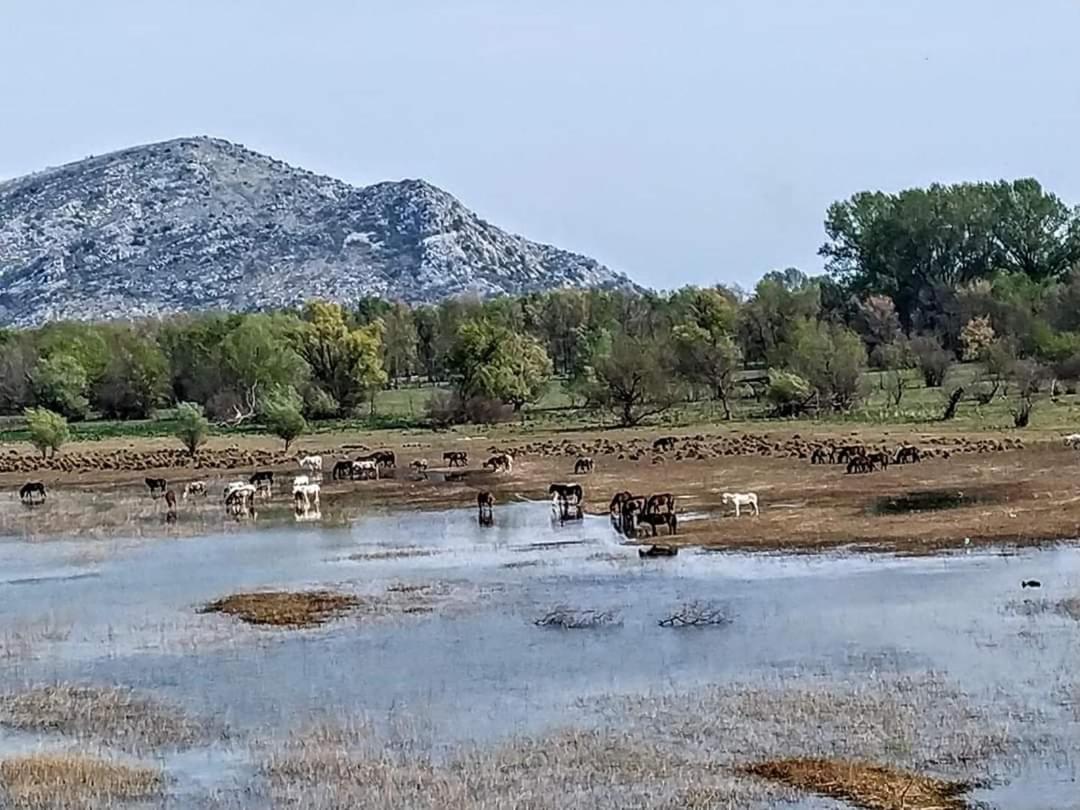 Haustor Skadar Lake Podgorica Exterior foto