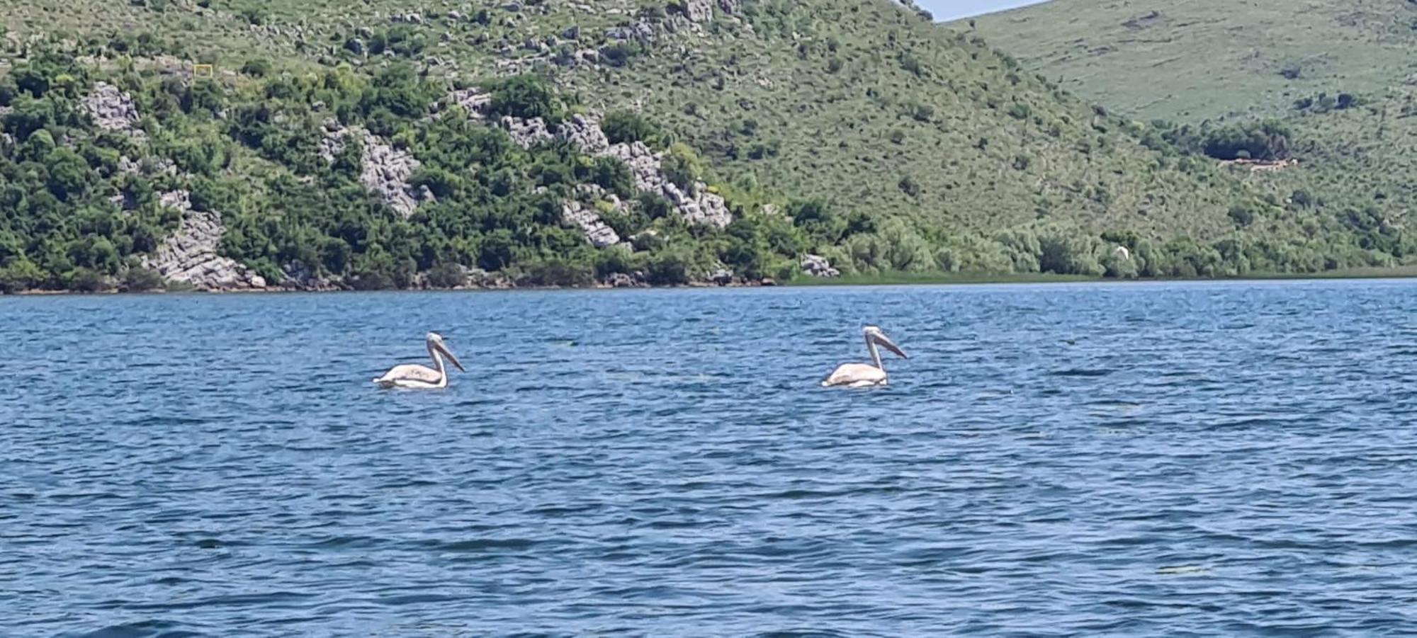 Haustor Skadar Lake Podgorica Exterior foto